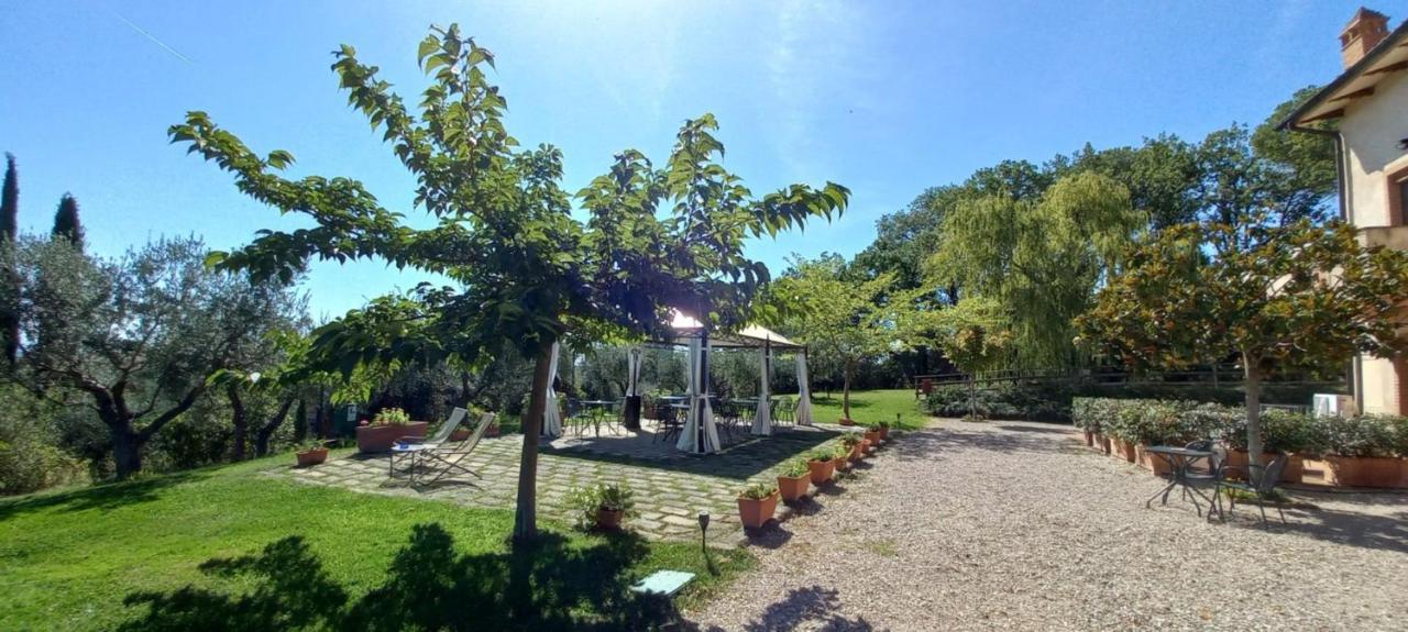 Poggio Olivo Apartman Acquaviva Kültér fotó